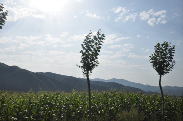 豐寧壩上旅游攻略圖片