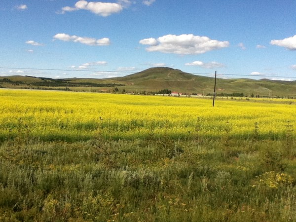 日行趕往豐寧壩上草原，直接上圖欣賞。
