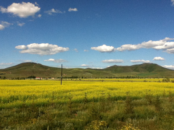 豐寧壩上自助游圖片