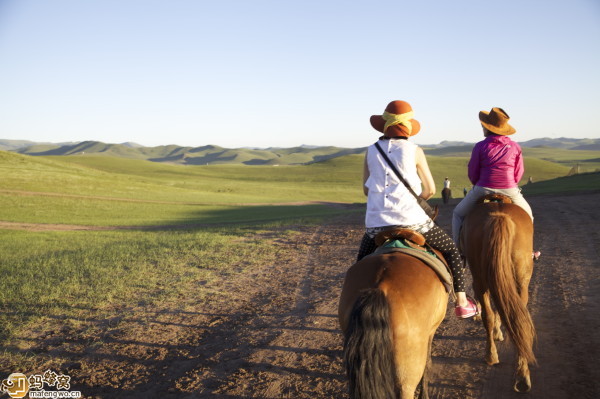 豐寧壩上自助游圖片