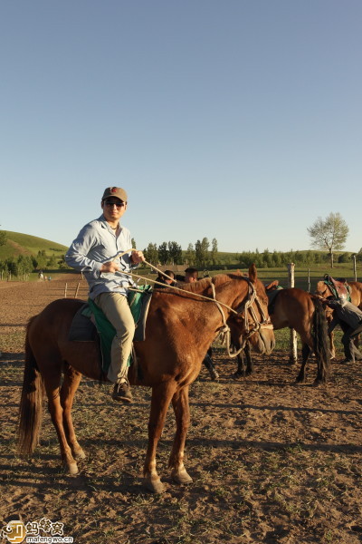 豐寧壩上自助游圖片