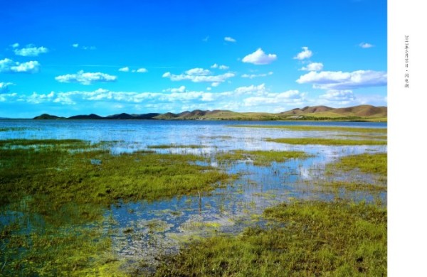 豐寧壩上景點圖片