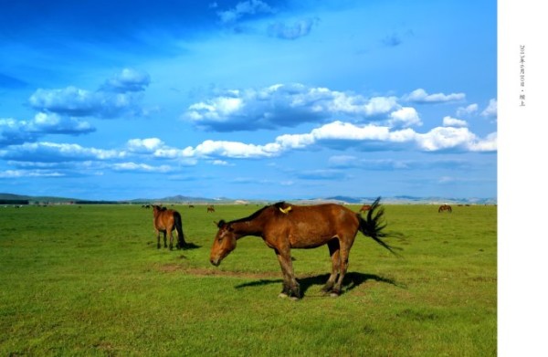 豐寧壩上旅游攻略圖片