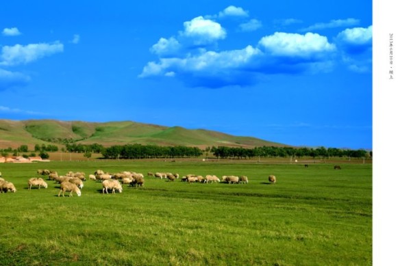 豐寧壩上景點圖片