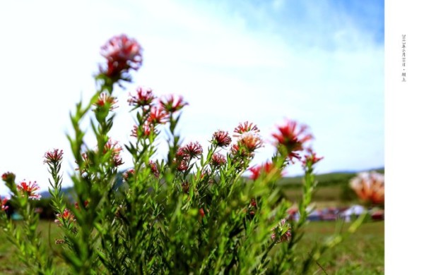 豐寧壩上旅游攻略圖片