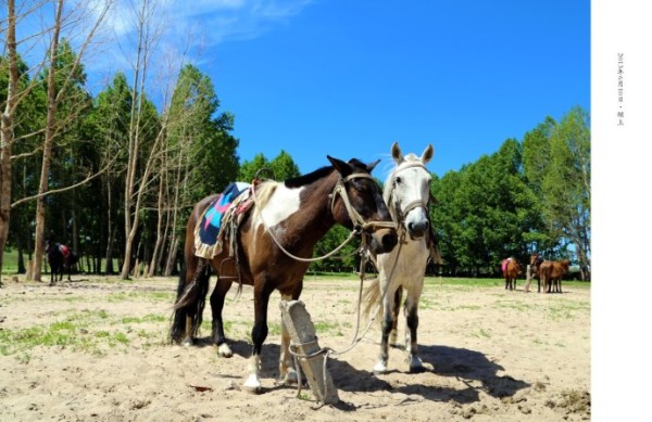 豐寧壩上自助游圖片