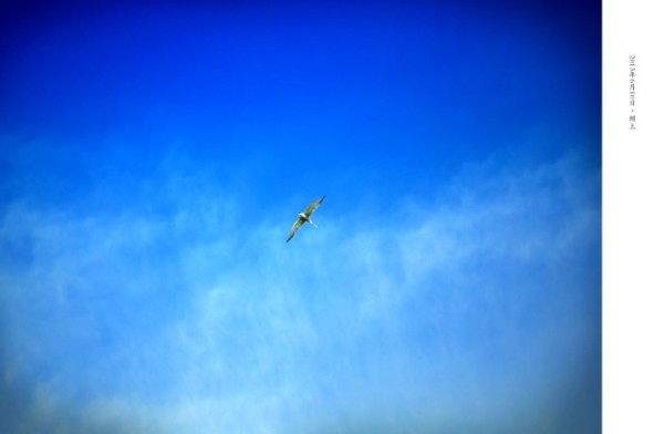 豐寧壩上景點圖片