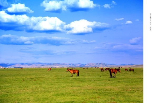 豐寧壩上自助游圖片