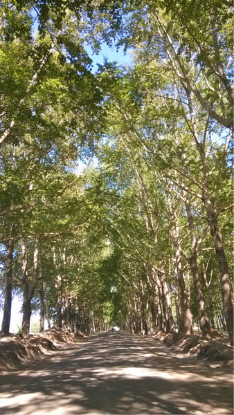 豐寧壩上旅游攻略圖片