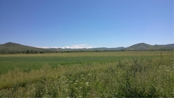 豐寧壩上自助游圖片