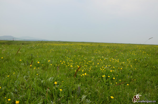 豐寧壩上旅游攻略圖片
