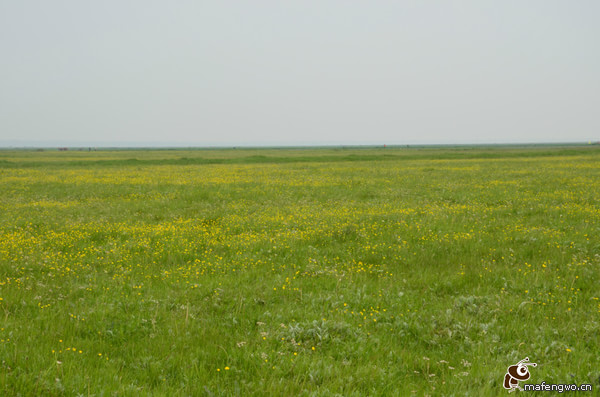 豐寧壩上景點圖片