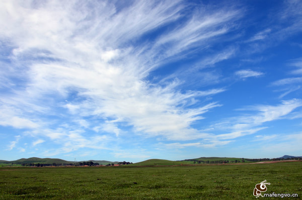 豐寧壩上自助游圖片