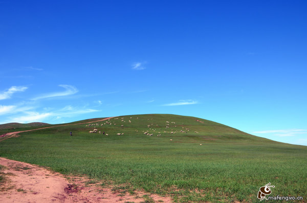 豐寧壩上自助游圖片