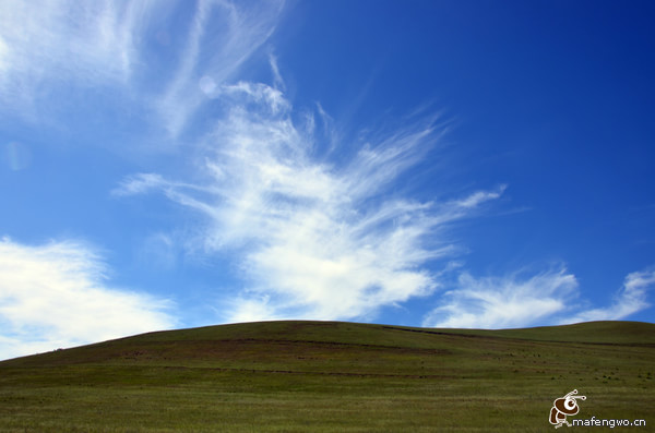 豐寧壩上景點圖片