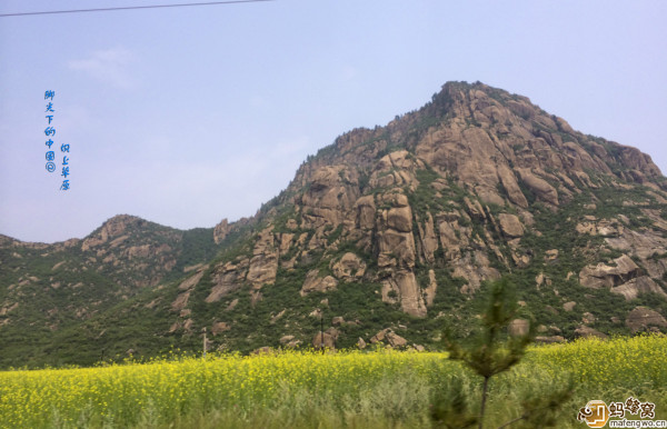 人在囧途之------壩上草原