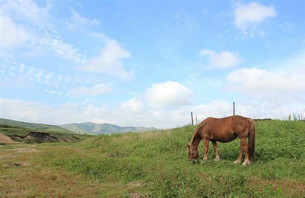 豐寧壩上草原美景2012.8.11