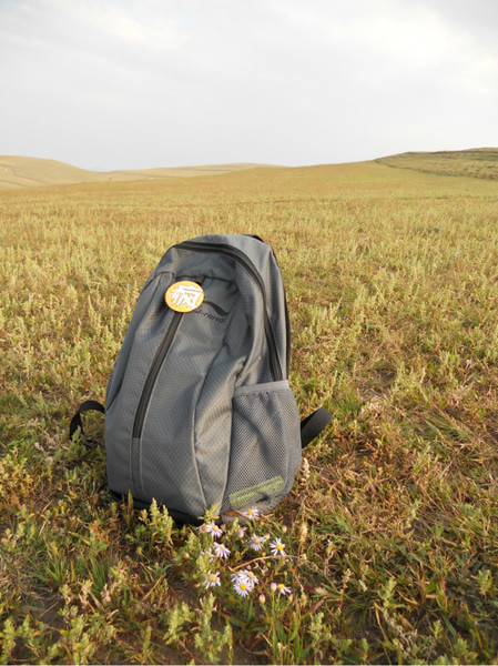 豐寧壩上草原——秋意略顯，追逐狂野的馳騁