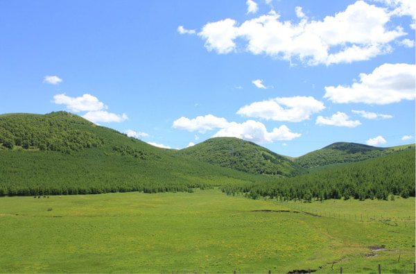 端午小穿豐寧壩上草原（冰山梁、老掌溝、傳奇莊園）20130610