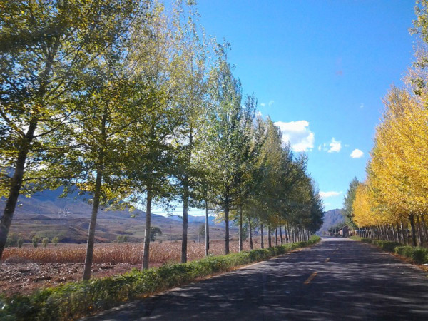 豐寧壩上自助游圖片