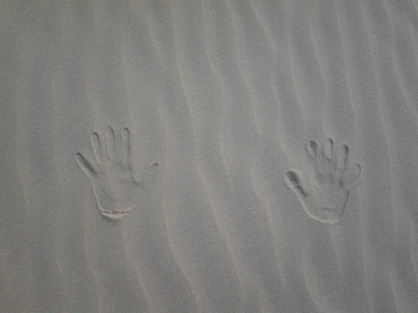 豐寧壩上自助游圖片