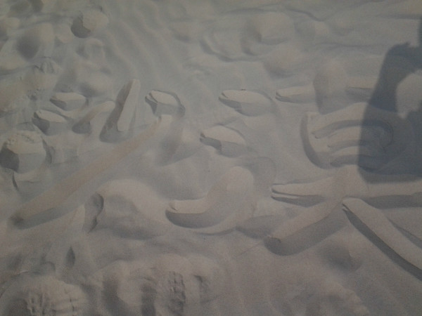 豐寧壩上旅游攻略圖片