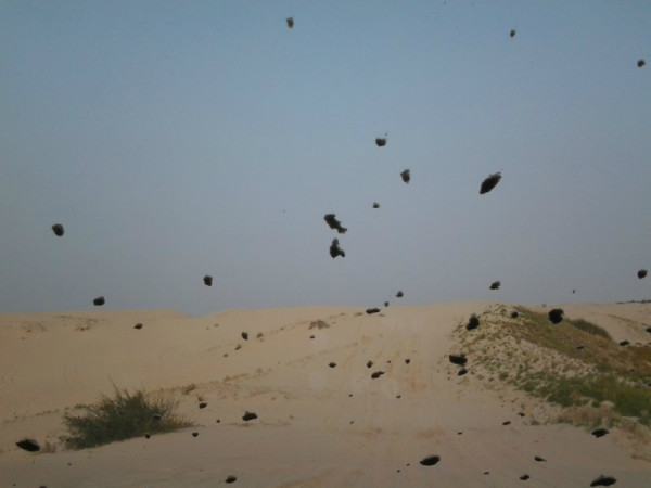 豐寧壩上自助游圖片