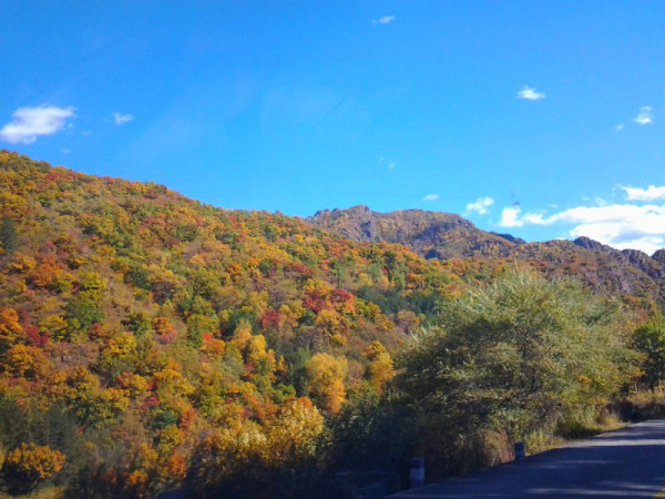 豐寧壩上自助游圖片