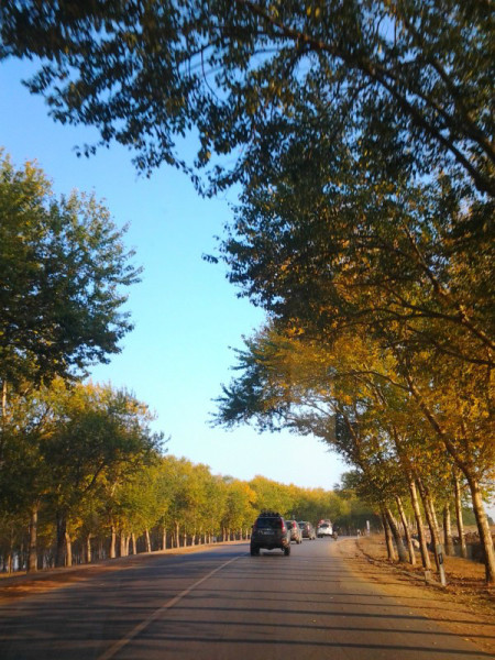 豐寧壩上旅游攻略圖片