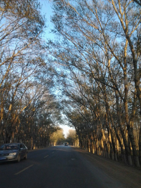 豐寧壩上景點圖片