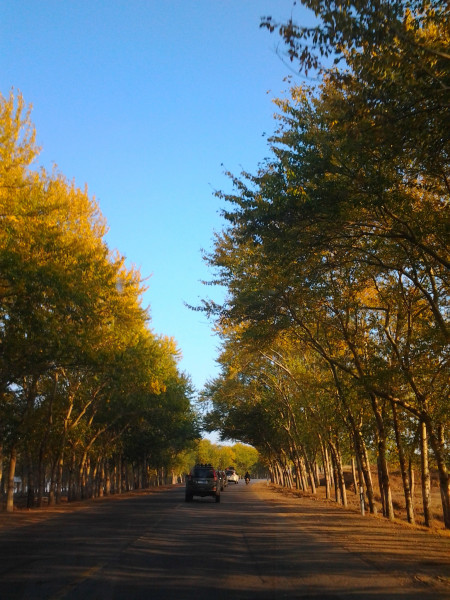 豐寧壩上景點圖片