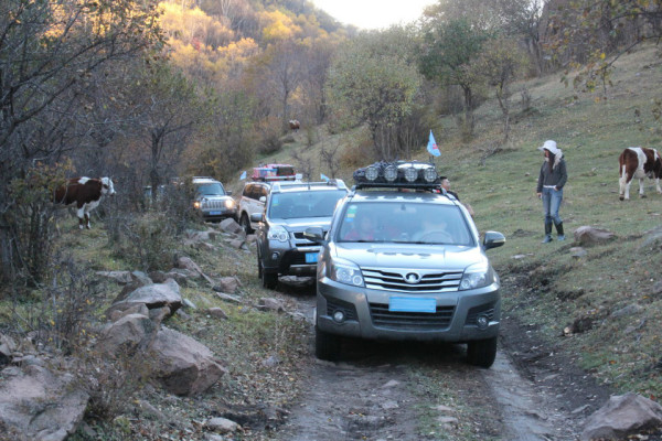 豐寧壩上景點圖片