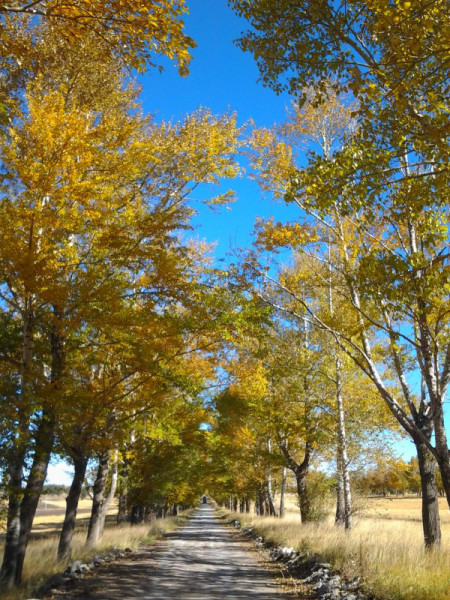 豐寧壩上景點圖片