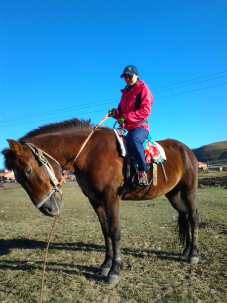 豐寧壩上旅游攻略圖片