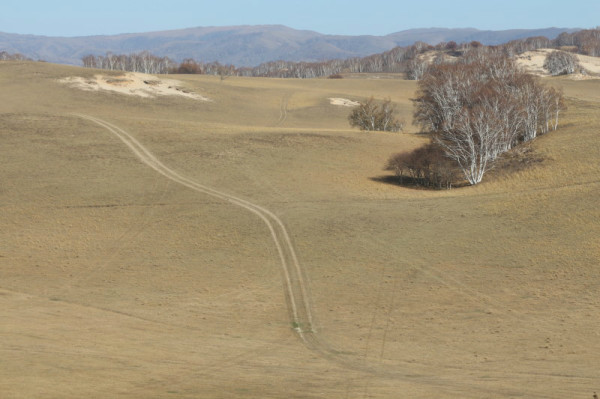 豐寧壩上自助游圖片