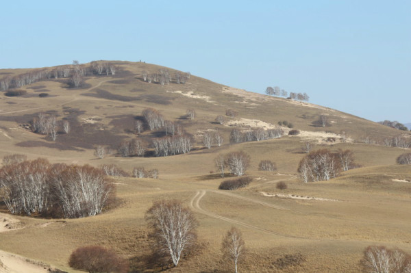 豐寧壩上旅游攻略圖片