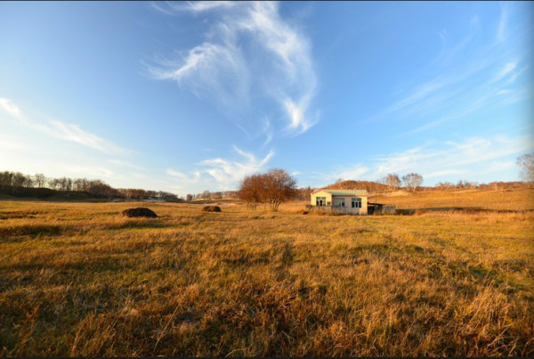 豐寧壩上自助游圖片
