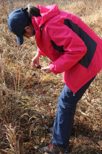豐寧壩上景點圖片