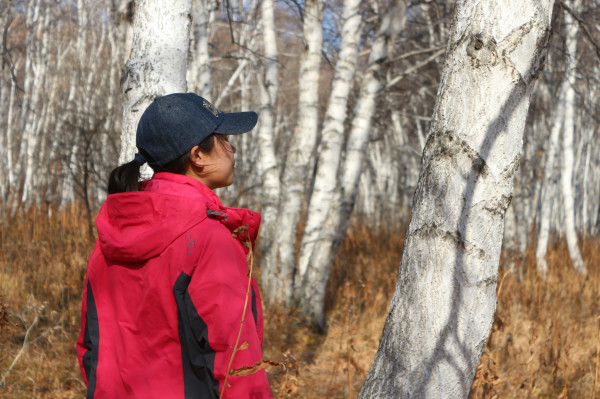 豐寧壩上景點圖片
