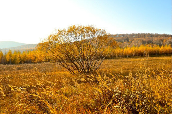 豐寧壩上自助游圖片
