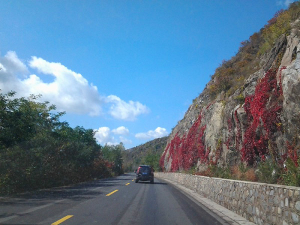 豐寧壩上景點圖片