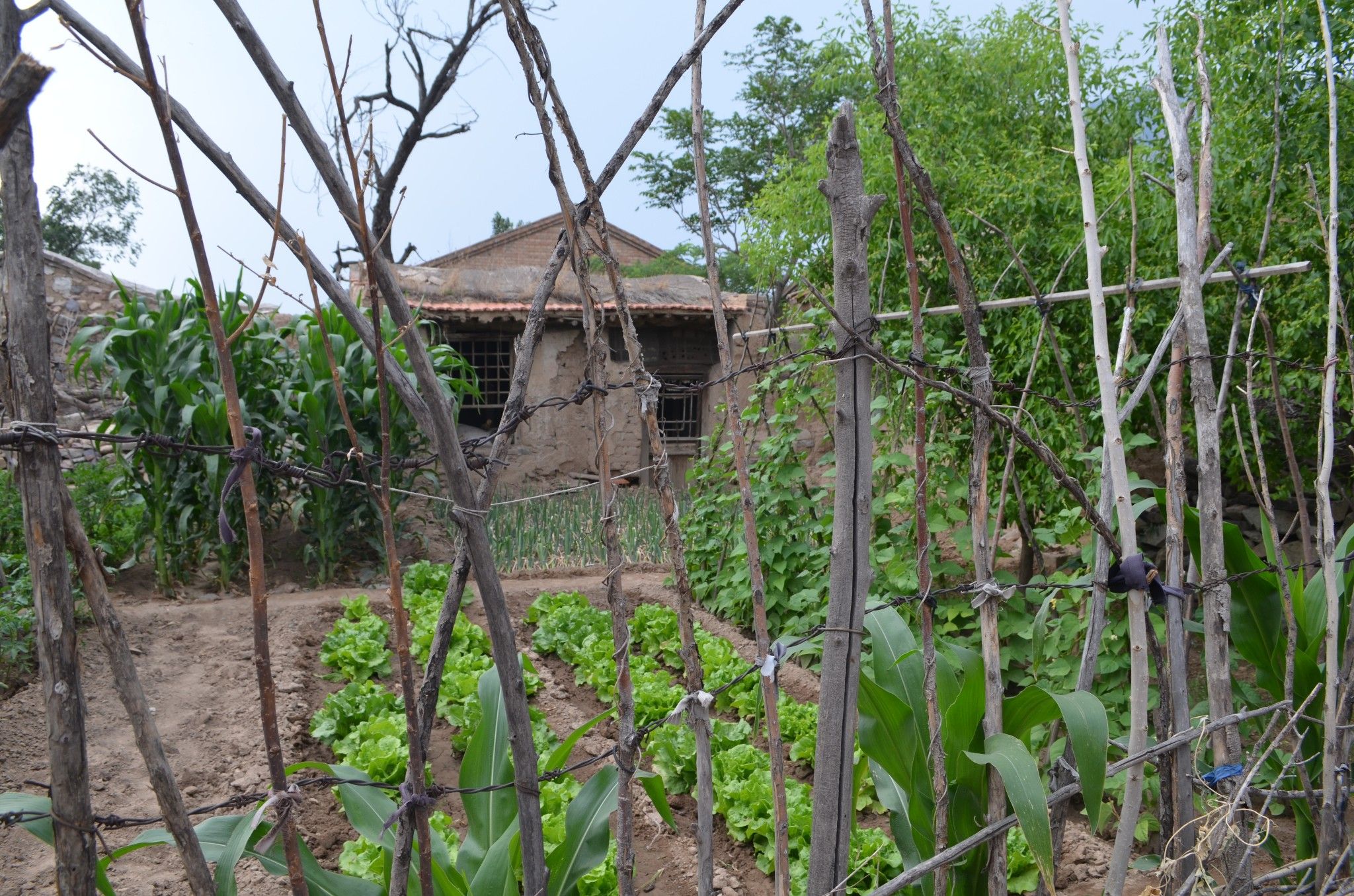 端午節(jié)自駕張北草原天路及雞鳴驛二日游小記
