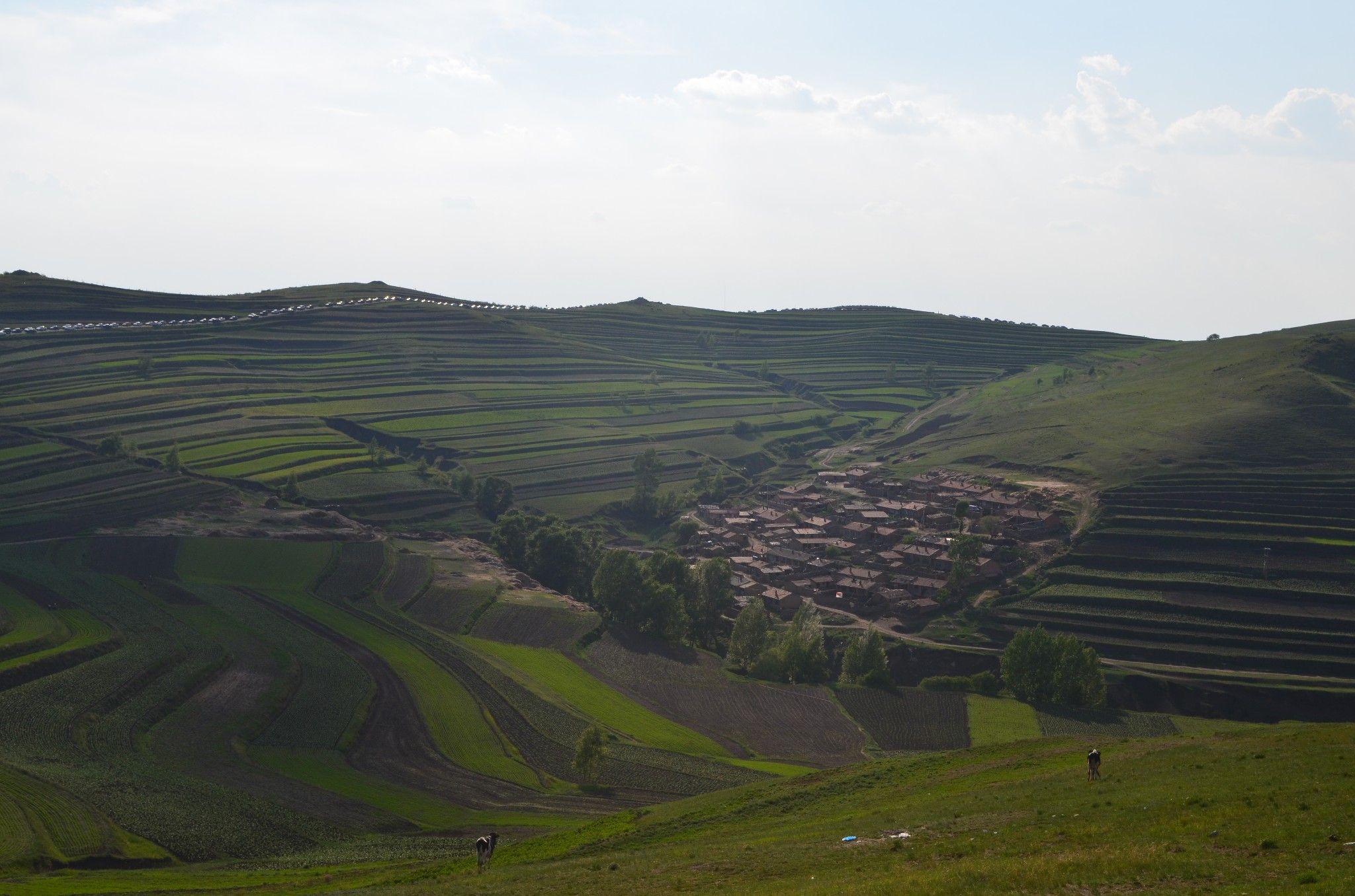 端午節(jié)自駕張北草原天路及雞鳴驛二日游小記