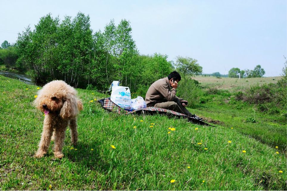一只泰迪帶你端午節(jié)游木蘭圍場