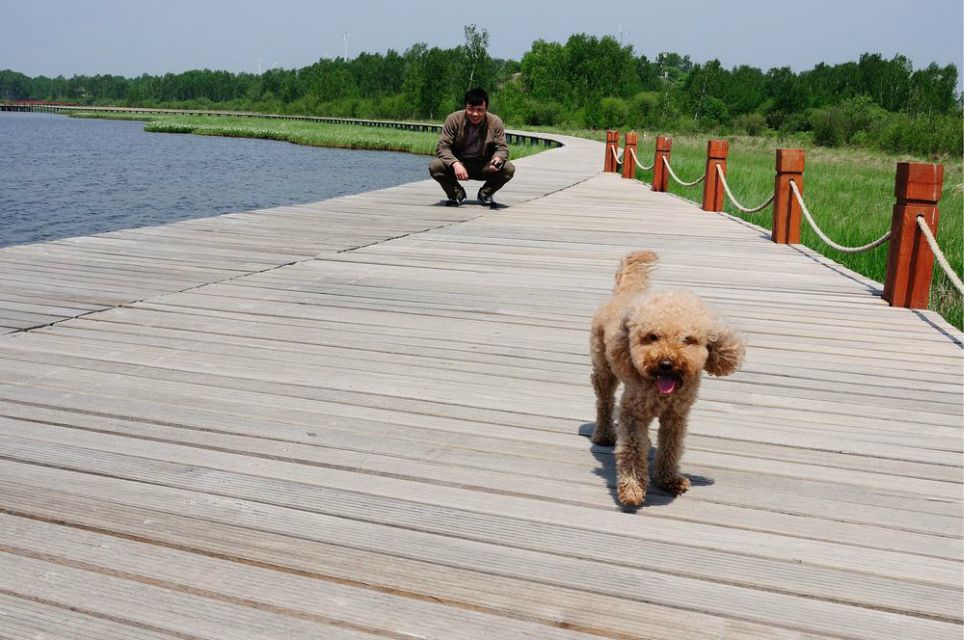一只泰迪帶你端午節(jié)游木蘭圍場