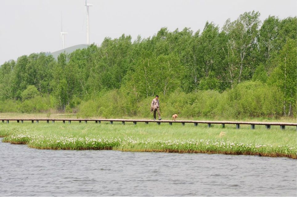 一只泰迪帶你端午節(jié)游木蘭圍場
