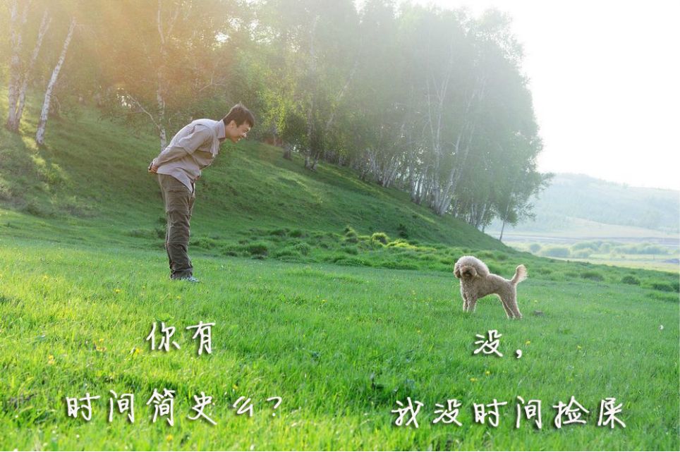 一只泰迪帶你端午節(jié)游木蘭圍場