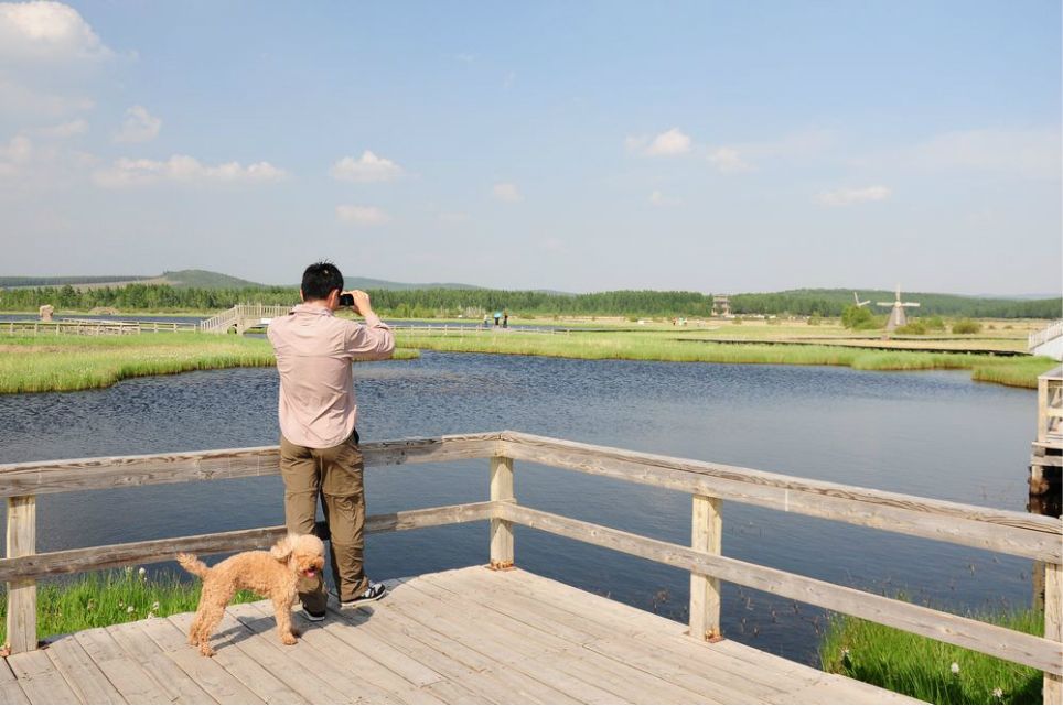 一只泰迪帶你端午節(jié)游木蘭圍場