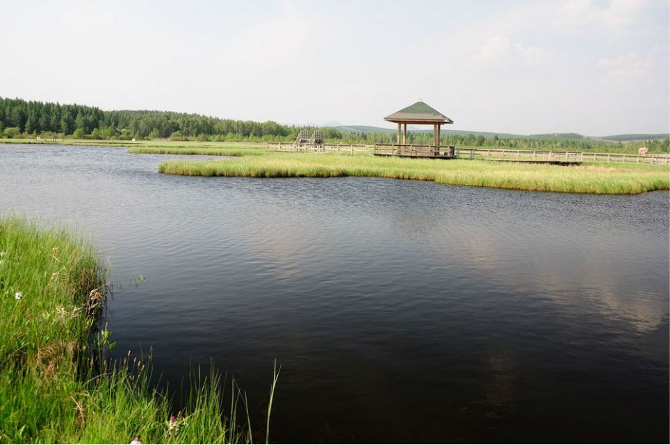 一只泰迪帶你端午節(jié)游木蘭圍場