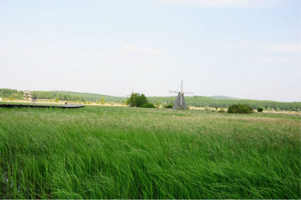 一只泰迪帶你端午節(jié)游木蘭圍場